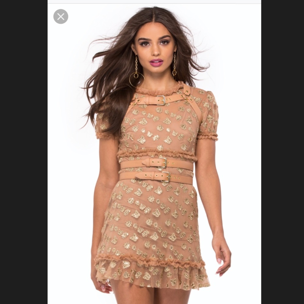 For love of lemons garden tulle mini